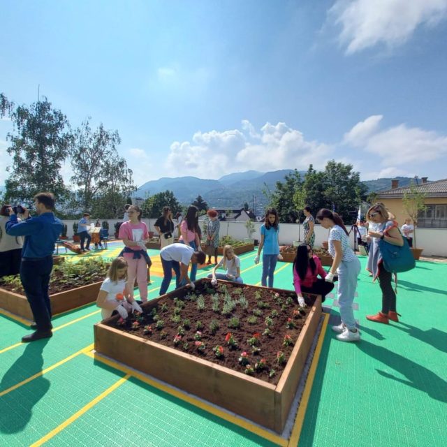 Green Roof Opening