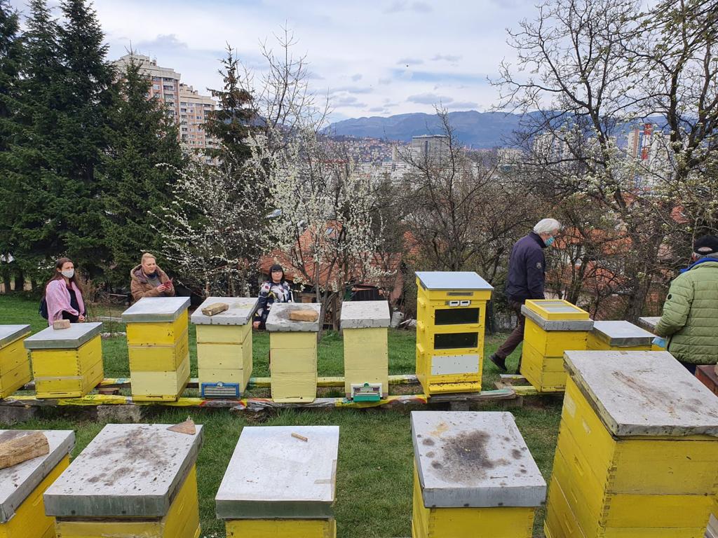 Beekeeping the old way, News