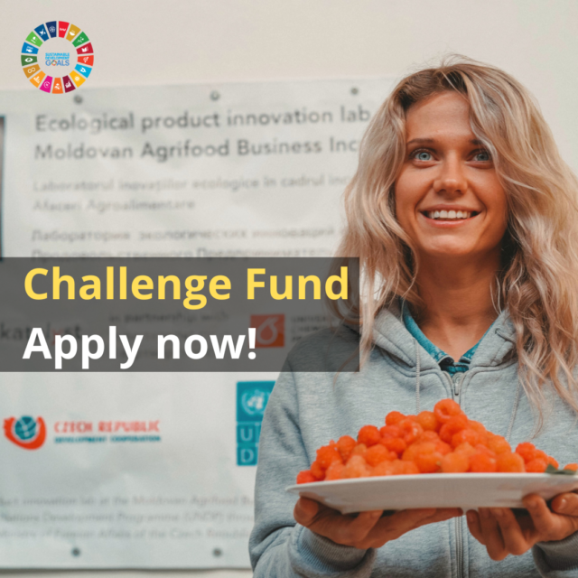 Challenge Fund 2022